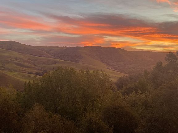 View of the Park at Sunrise