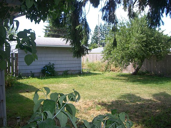 back yard