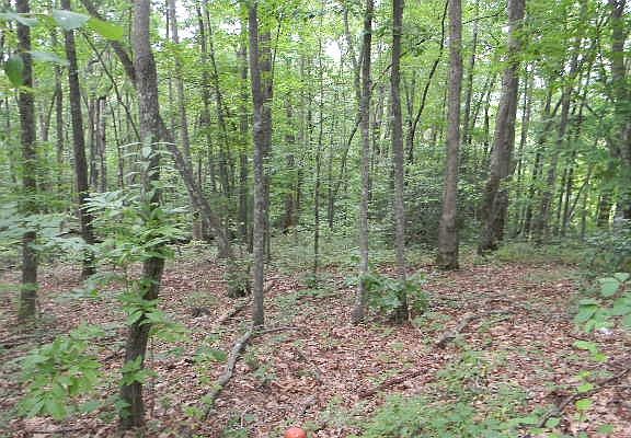 5th image of 2554 Hwy 64 E