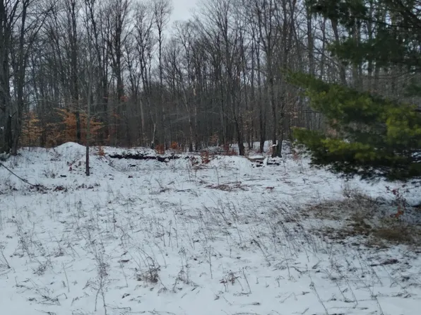 LOT 238 Dellwood Dr, Elmira, MI 49730