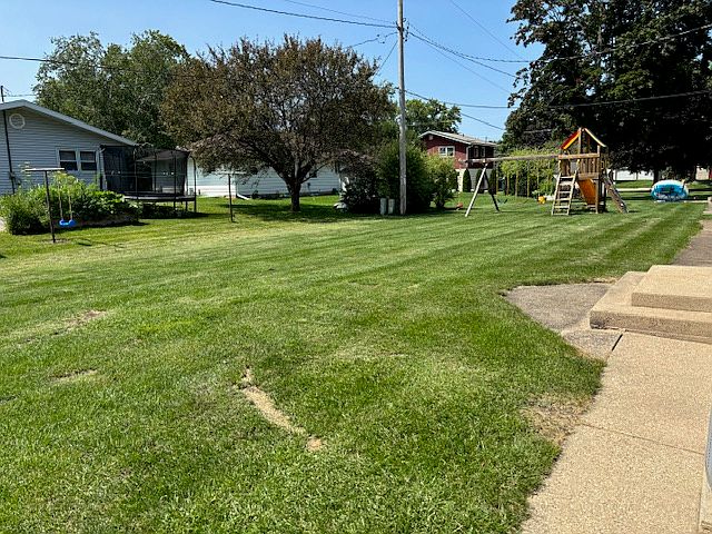 Back yard