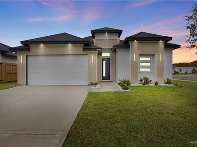 1009 W Cloud 9 Ln, Edinburg, TX, 78541