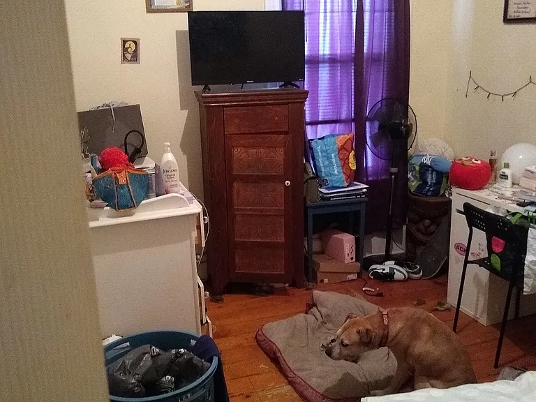 298 Madison Ave — Photo 12