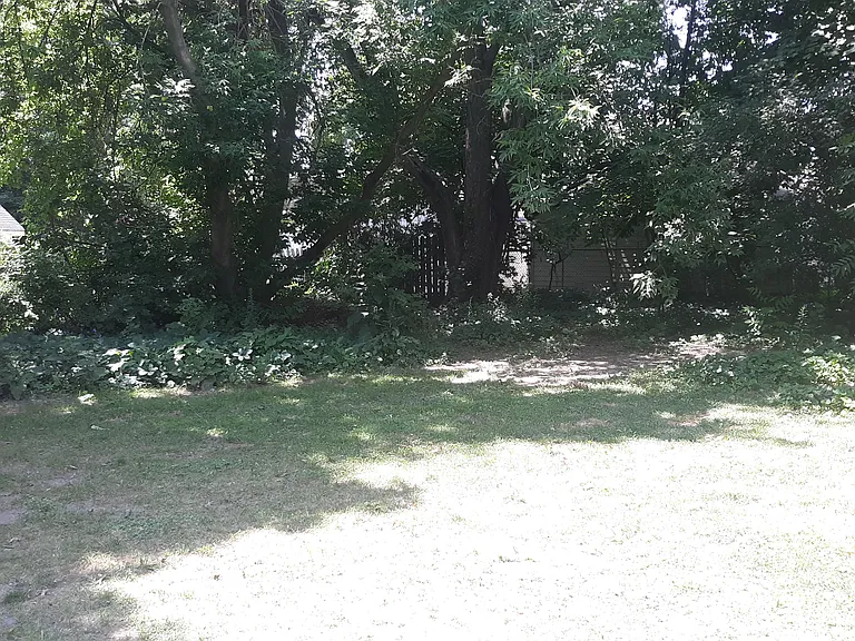 311 Plymouth Ave NE #1 — Photo 3