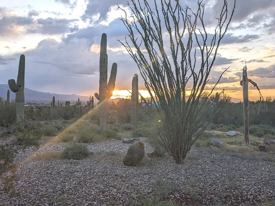 4140 W Camino Pintoresco