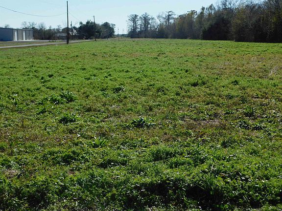 2nd image of Adam Blvd