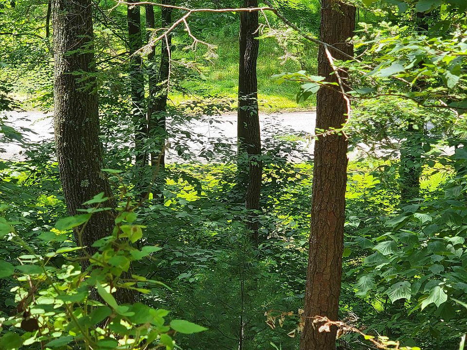 Tbd German River Rd, Criders, VA 22820 Zillow