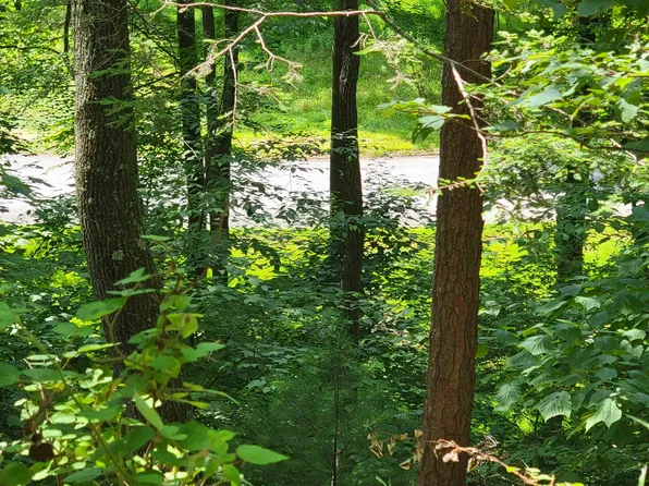 Tbd German River Rd, Criders, VA 22820