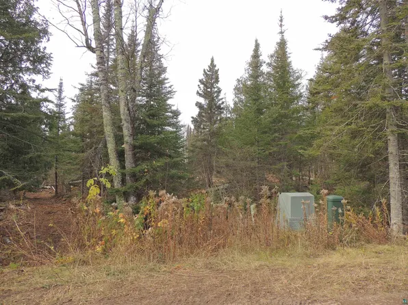 Xx Ravenwood Rd Lot 1, Grand Marais, MN 55604