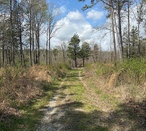4th image of Calico Rd