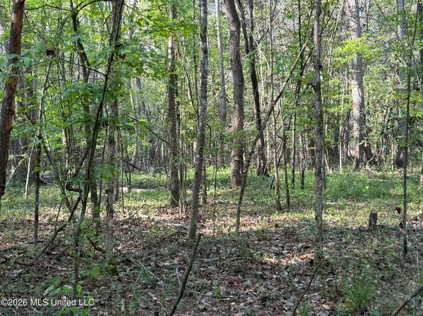 Owen Boone Rd, Brandon, MS 39042