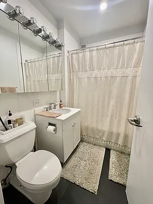 Rented by NY Living Solutions | media 5