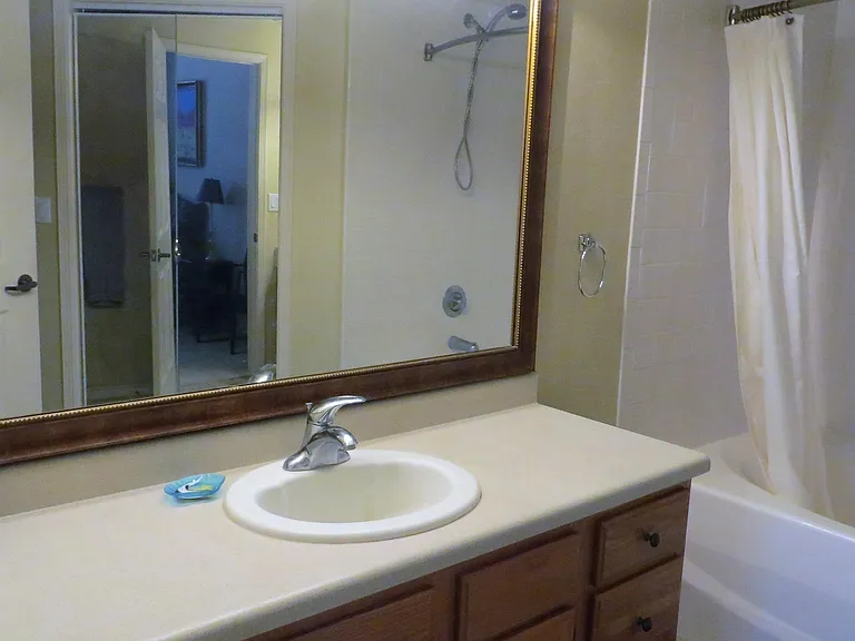 3901 Sonoma Springs Ave #1004 — Photo 2