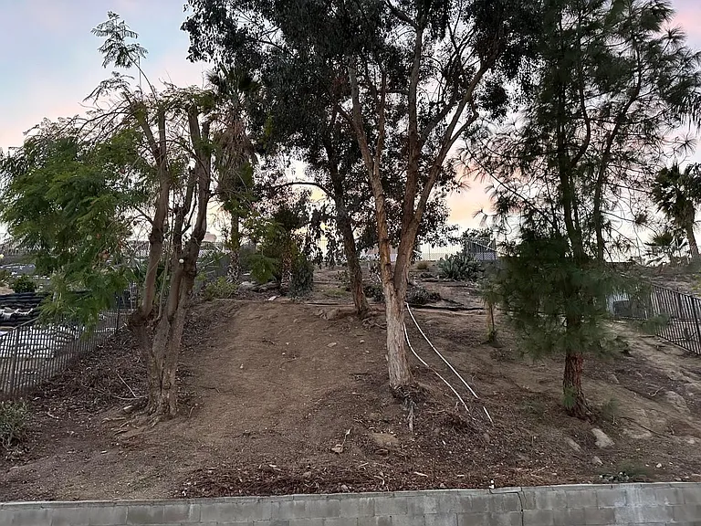 572 Hillsborough Way — Photo 14