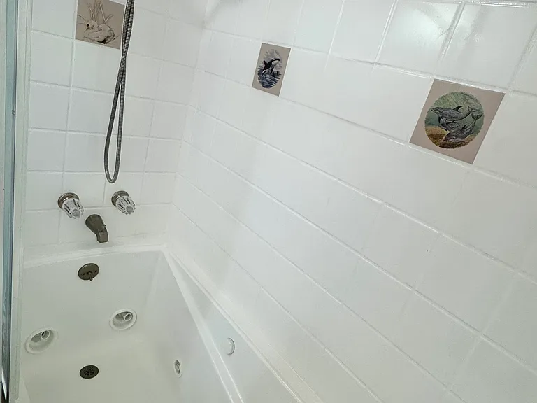 Hallway Bathroom