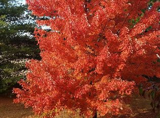 5250 Cedarstone Ct APT B, Saint Louis, MO 63129