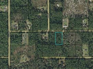 5241 Lime Ave, Bunnell, FL 32110