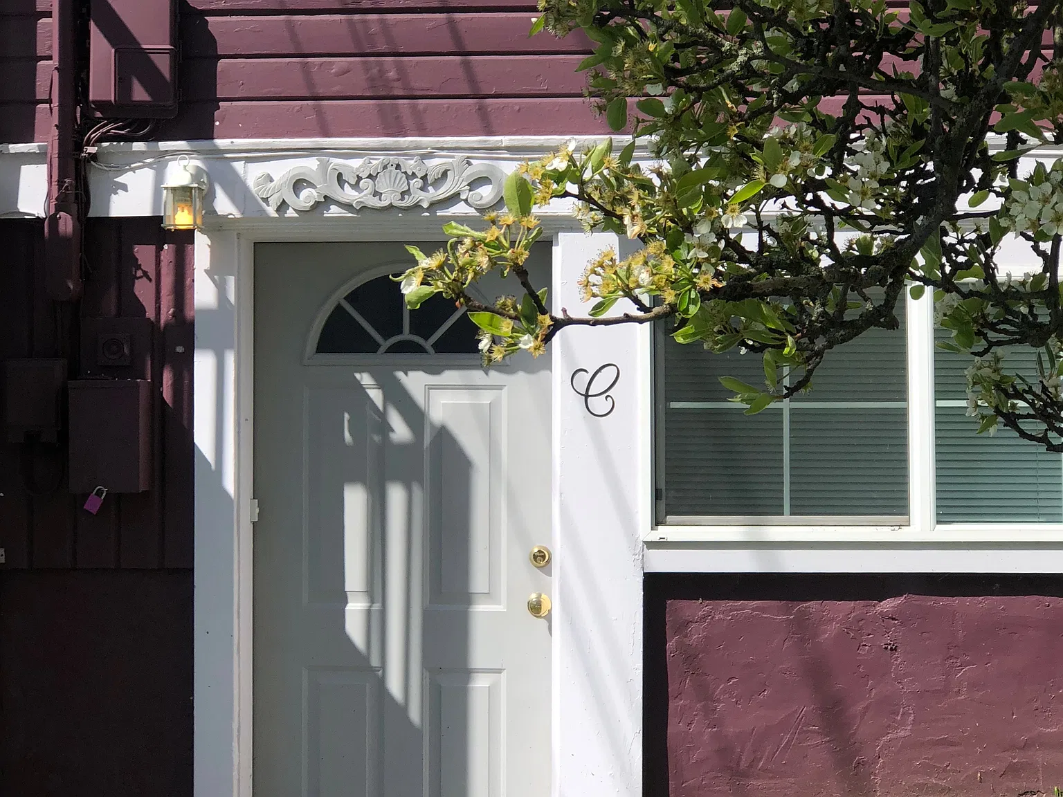 1 bed, 645 sqft, $1,350 — Photo 2