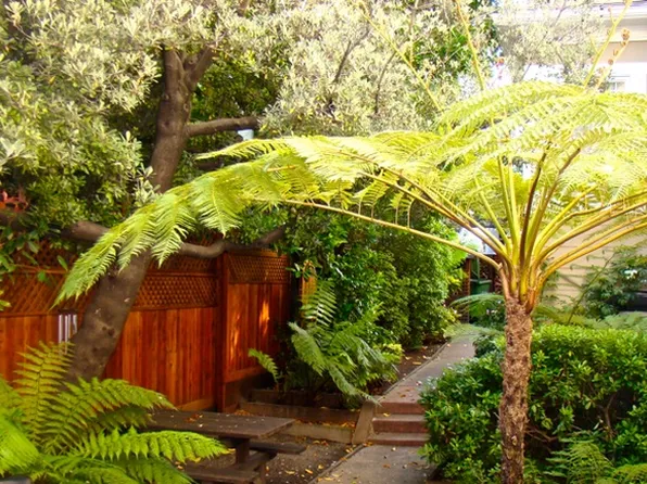 2520 Ridge Rd, Berkeley, CA