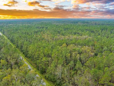 570AC State Highway 51 S, Mayo, FL, 32066