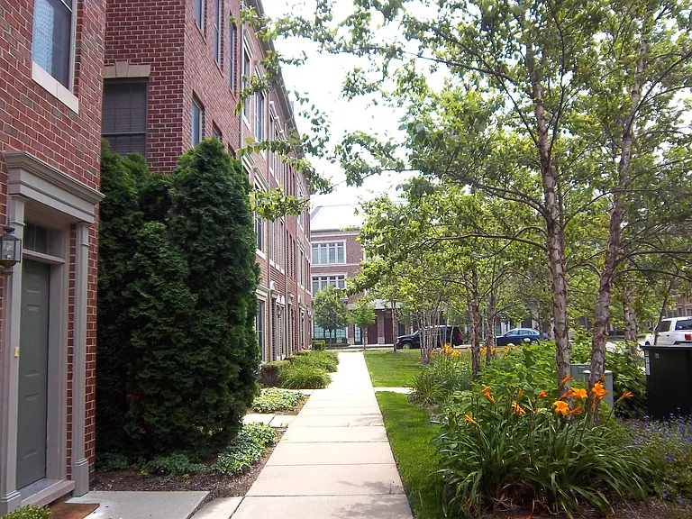 Neighborhood picture