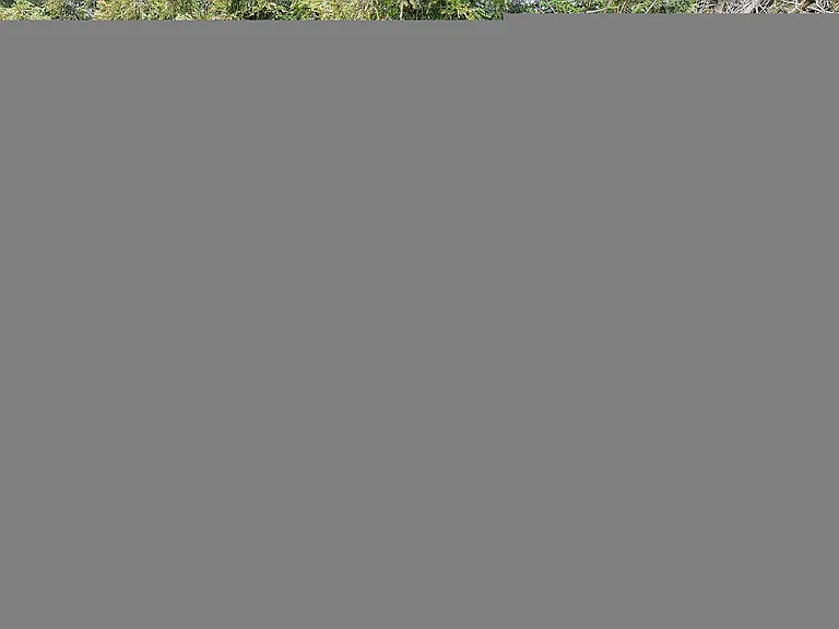 Greenback Gardens — Photo 9