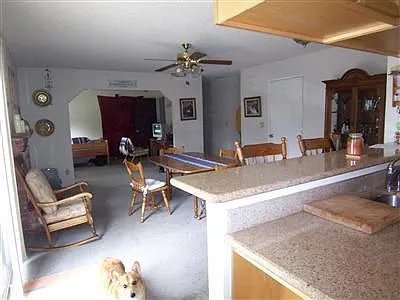 224 Flower Dr photo 1