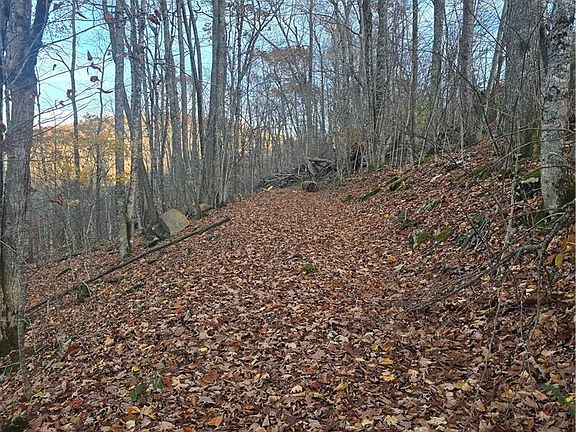 3rd image of TBD Junaluska Road