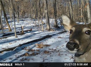 4055 Sleepy Hollow Ln, House Springs, MO 63051