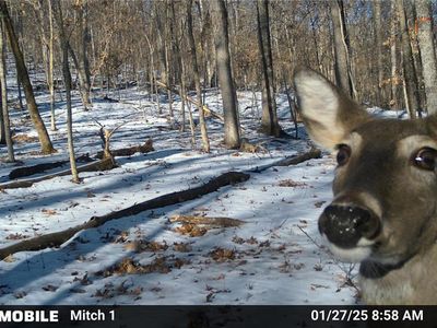 4055 Sleepy Hollow Ln, House Springs, MO, 63051