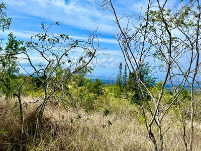 92-8314 Bamboo Ln, Ocean View, HI, 96737