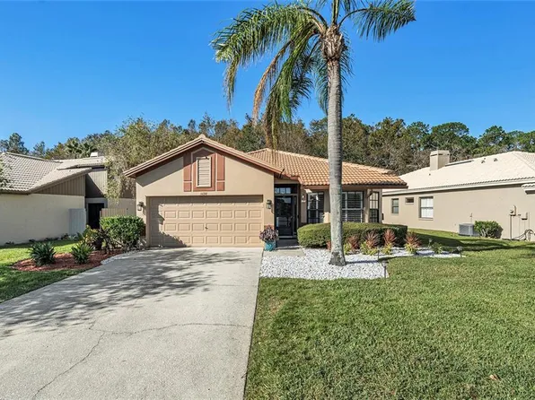 3698 Darston St, Palm Harbor, FL 34685