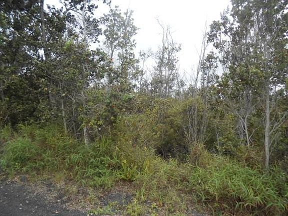 4th image of Ohia Dr Lot 4