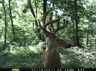 O Hwy, Holden, MO 64040