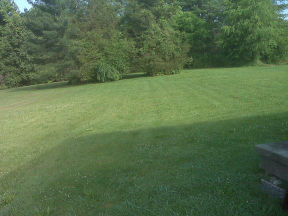 2nd image of 481 Dogwood Dr