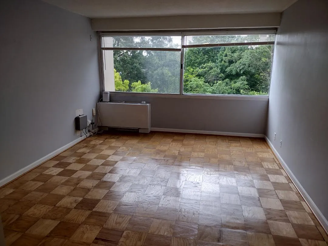 Studio, 314 sqft, $1,650 — Photo 3