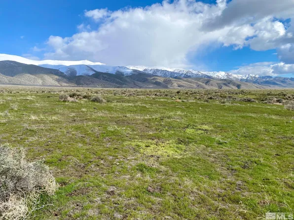 11555 Brooks Canyon Rd, Lovelock, NV 89419