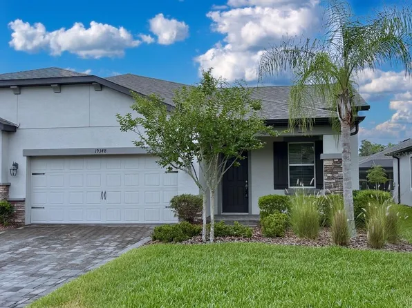 19348 Hawk Valley Dr, Tampa, FL 33647