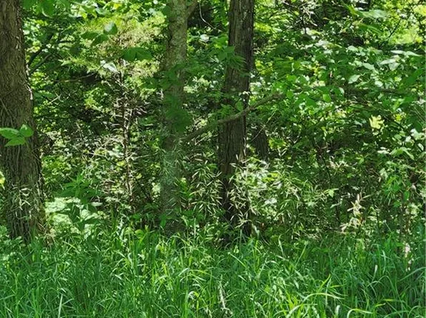 66 Richwood Dr, Linn Valley, KS 66040