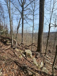 0 Gap Rd, Altamont, TN, 37301