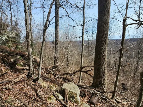 0 Gap Rd, Altamont, TN 37301