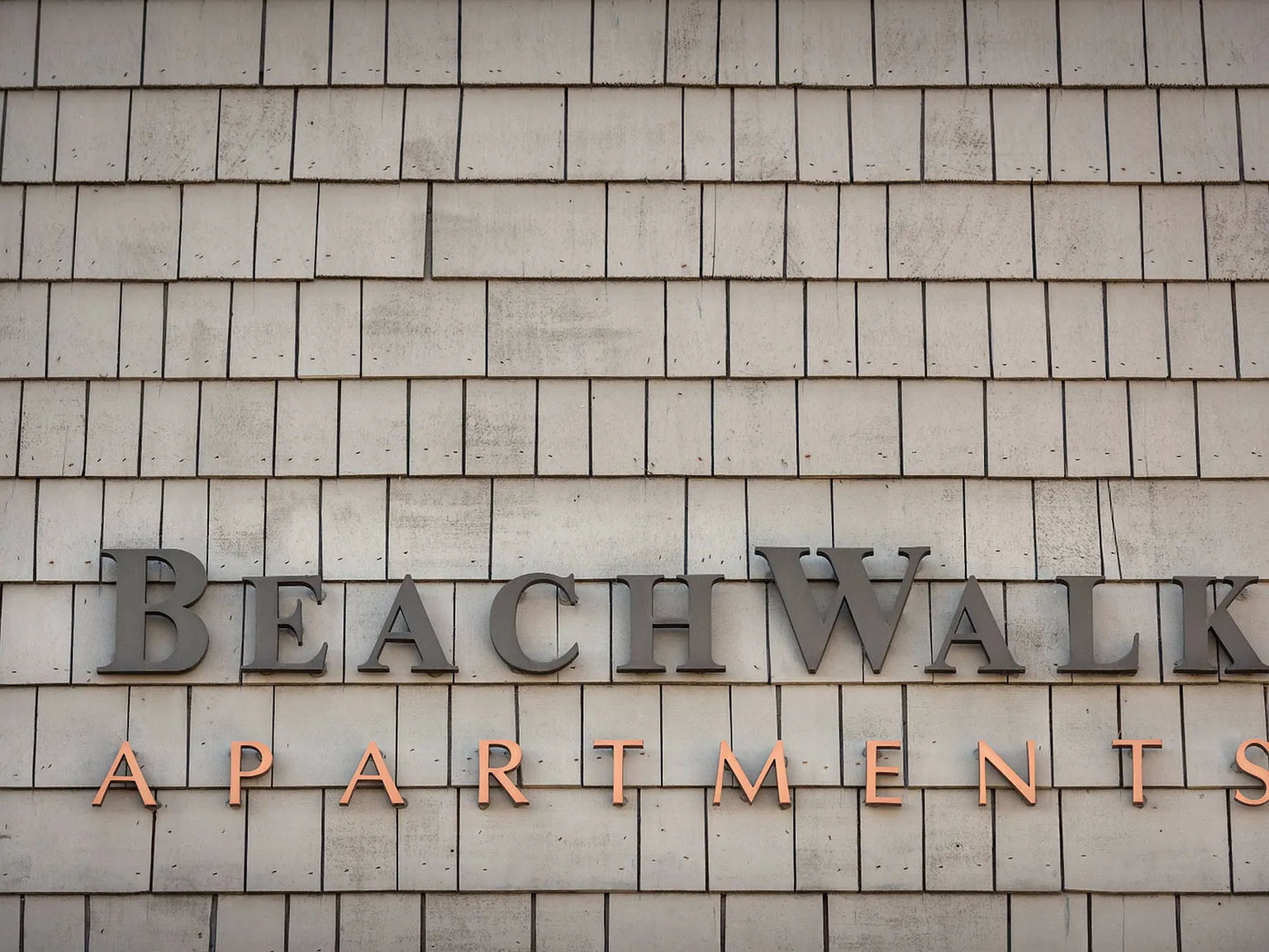Elan Beachwalk — Photo 2