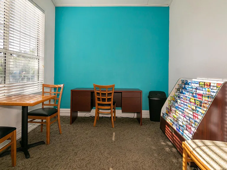 329 Orchid Dr — Photo 22