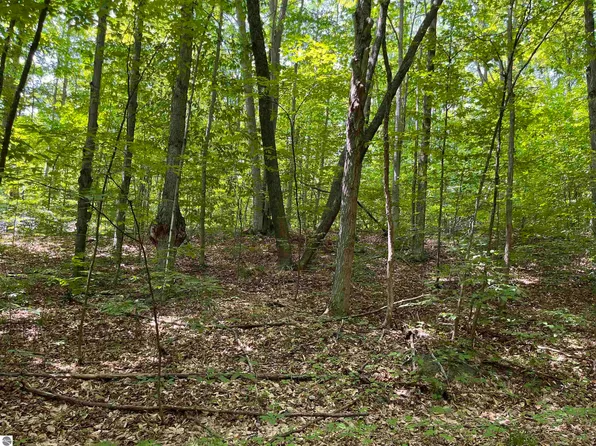 Heideldorf Ln, Bellaire, MI 49615