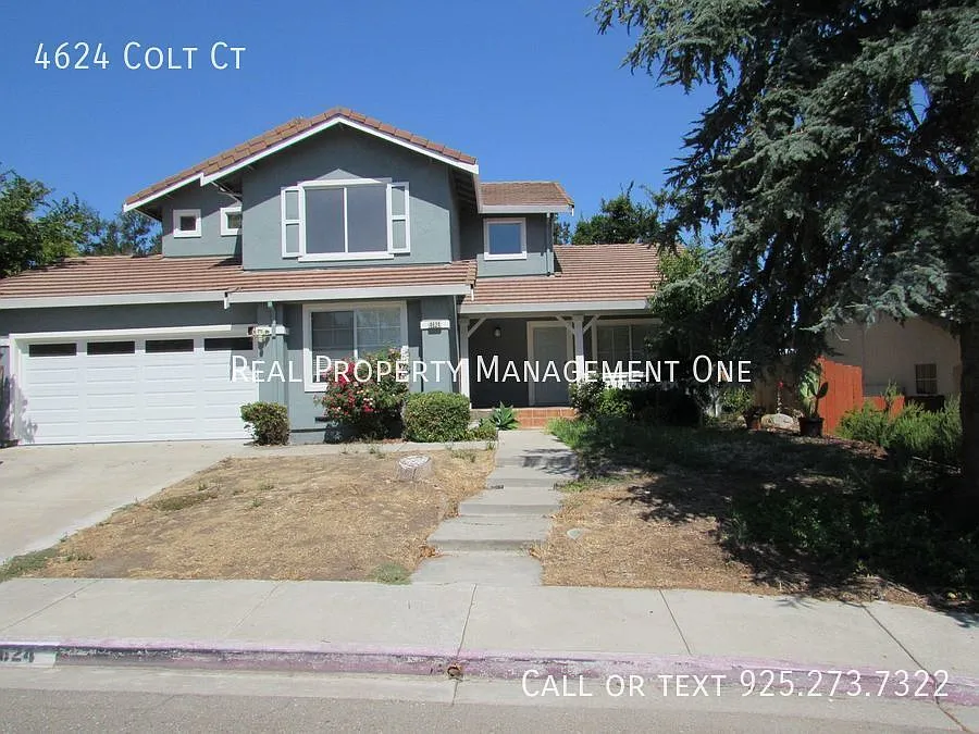 4624 Colt Ct photo 1