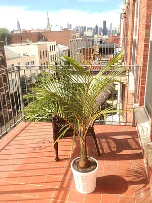 Rented by Reuveni LLC | media 19