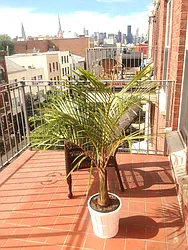 Rented by Reuveni LLC