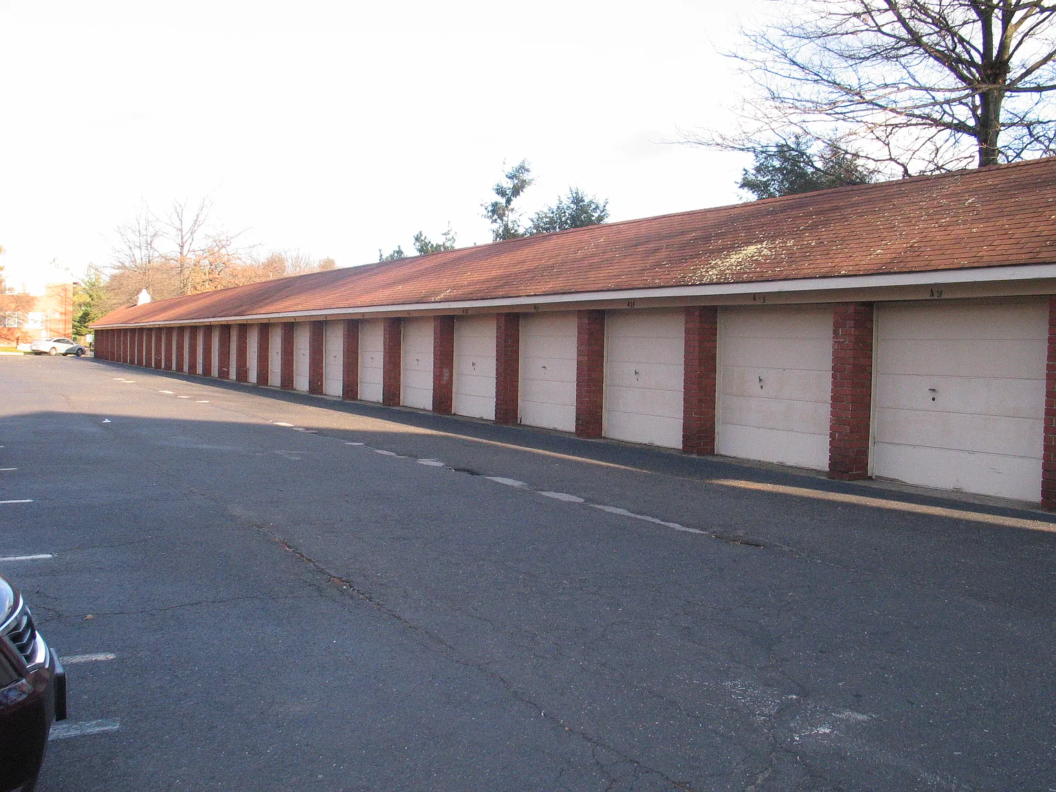 1 bed, 785 sqft, $1,800 — Photo 4