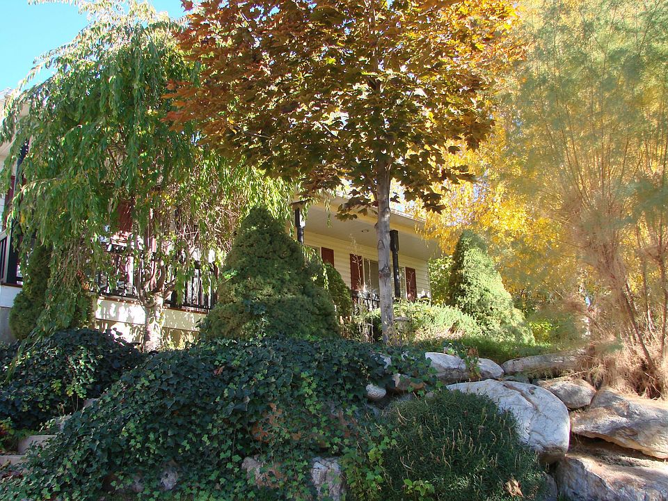 View from driveway