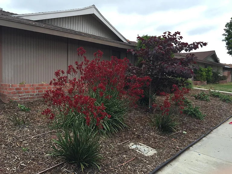 4632 Canoga St — Photo 3